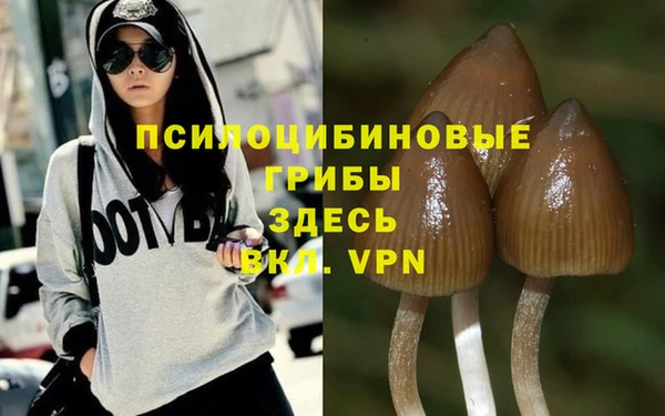 меф Балахна